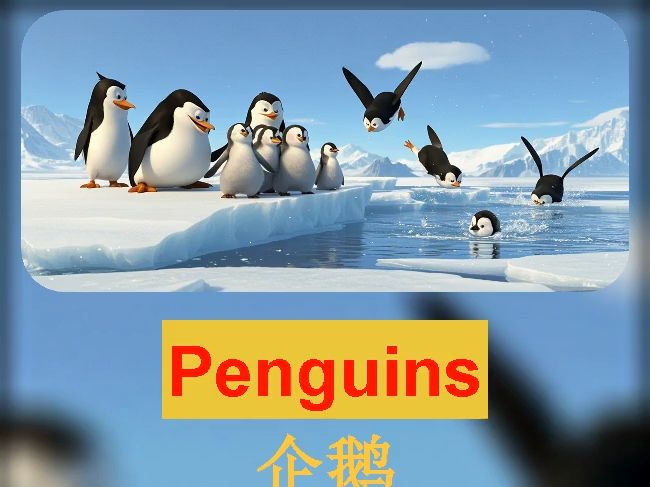 英语小故事跟读——企鹅 Penguins哔哩哔哩bilibili