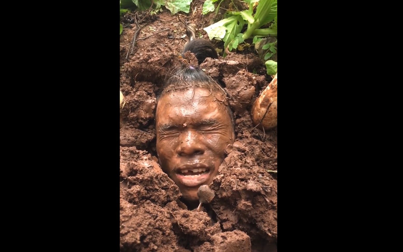 土味角虫别人菜地里种菜你咋把自己种在菜地里了呢