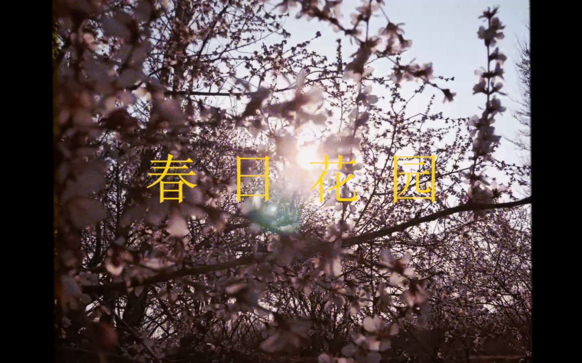 [图]【复古胶片vlog】桃 花 园 记 | 春日序章 | 一起云赏花