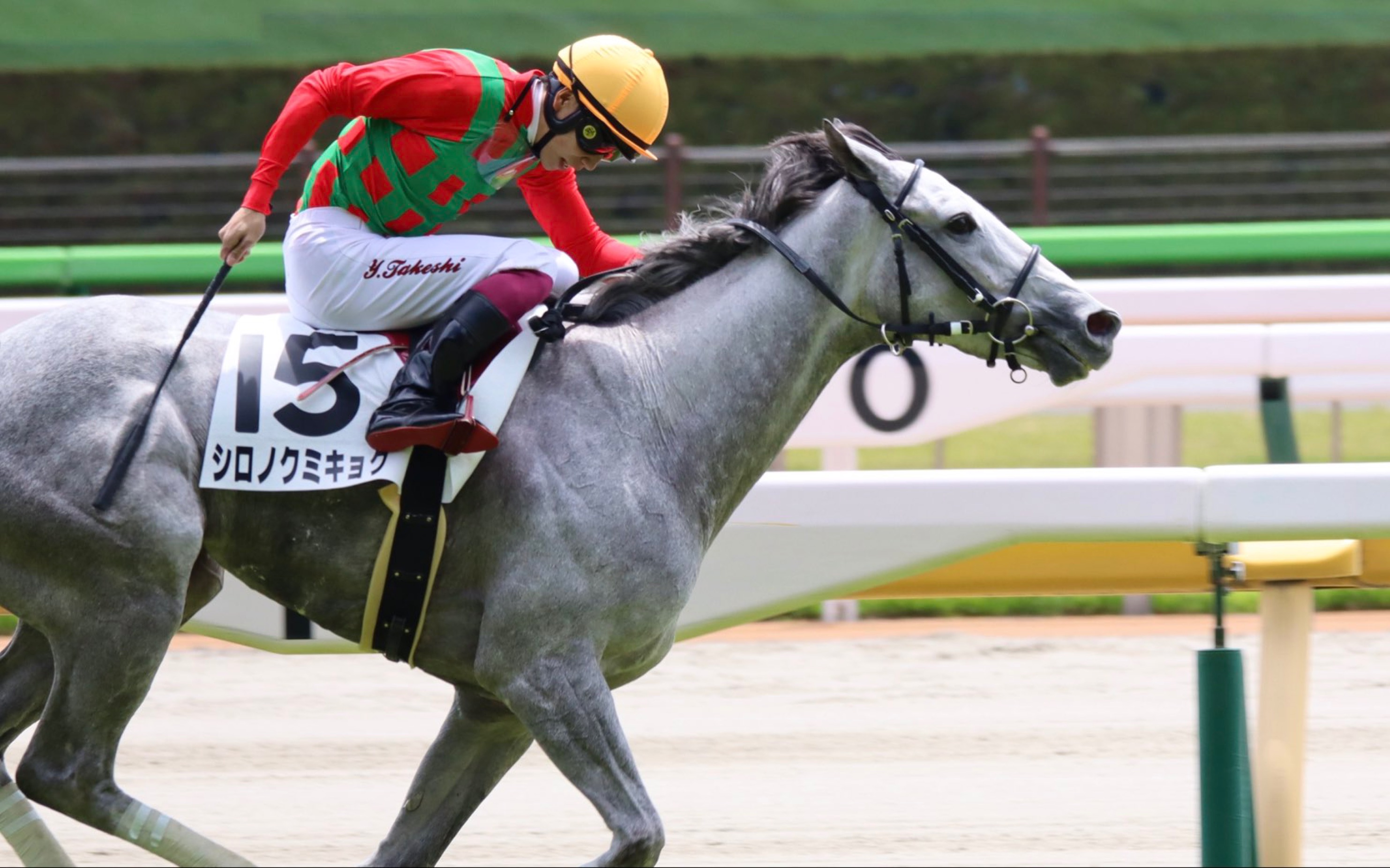 【赛马】2023/5/6 3岁未胜利 黄金船产驹 シロノクミキョク 东京草地