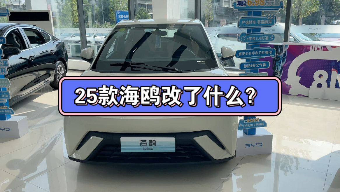 25款海鸥来了,看一下有哪些改动,非常极力推荐海鸥中配哔哩哔哩bilibili