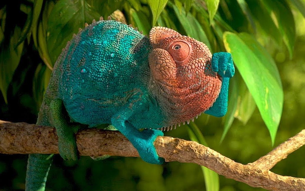 cg动画"无法控制食欲的地中海变色龙"@柚子木字幕组