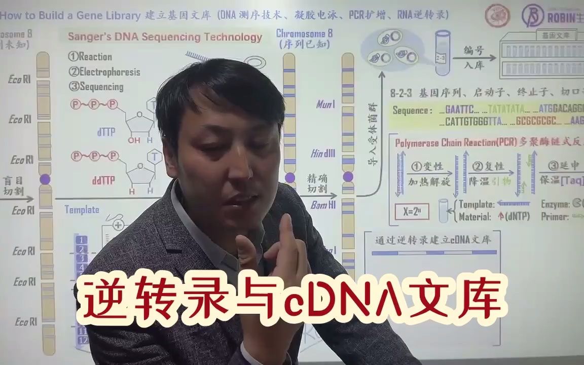 010逆转录与cDNA文库 高中生物 选修三 第1章哔哩哔哩bilibili