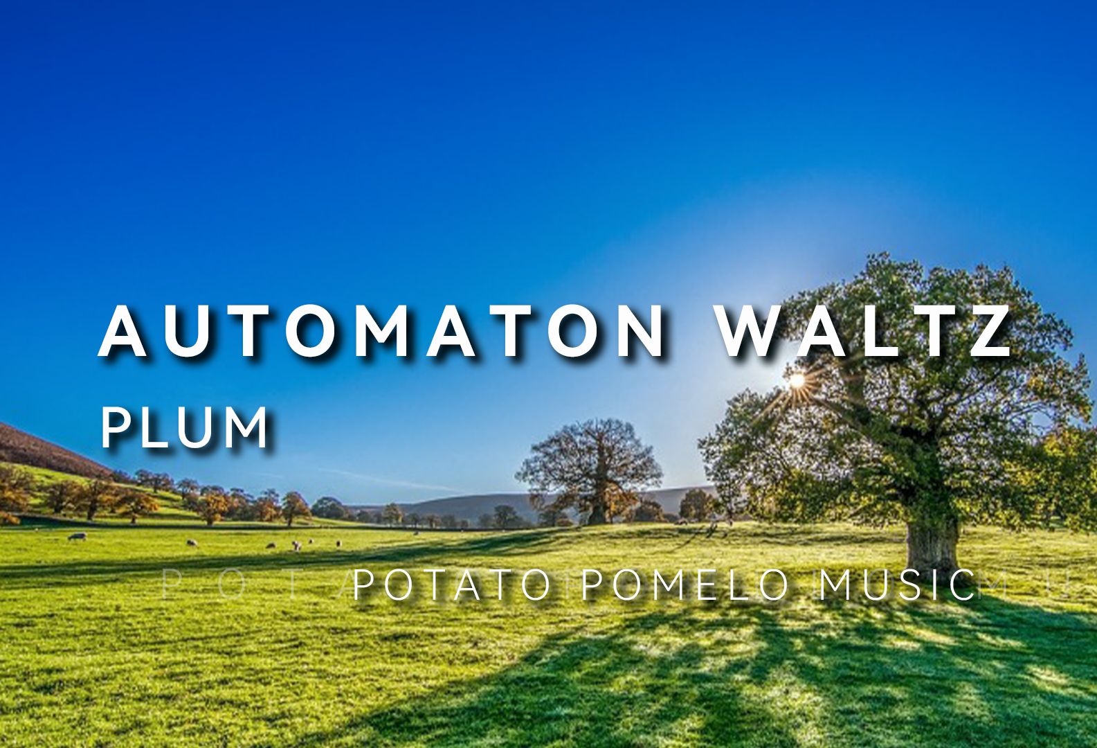 [图]Automaton Waltz-PLUM