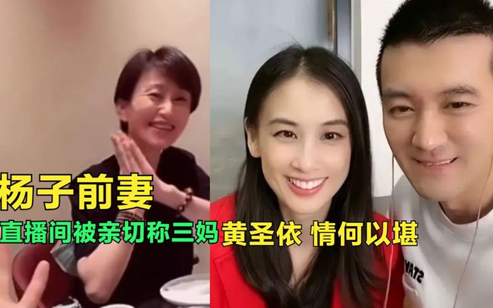 杨子前妻现身直播间,气质出众不输黄圣依,侄女称呼惹网友争议哔哩哔哩bilibili