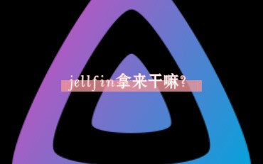 jellyfin是拿来干嘛的?哔哩哔哩bilibili