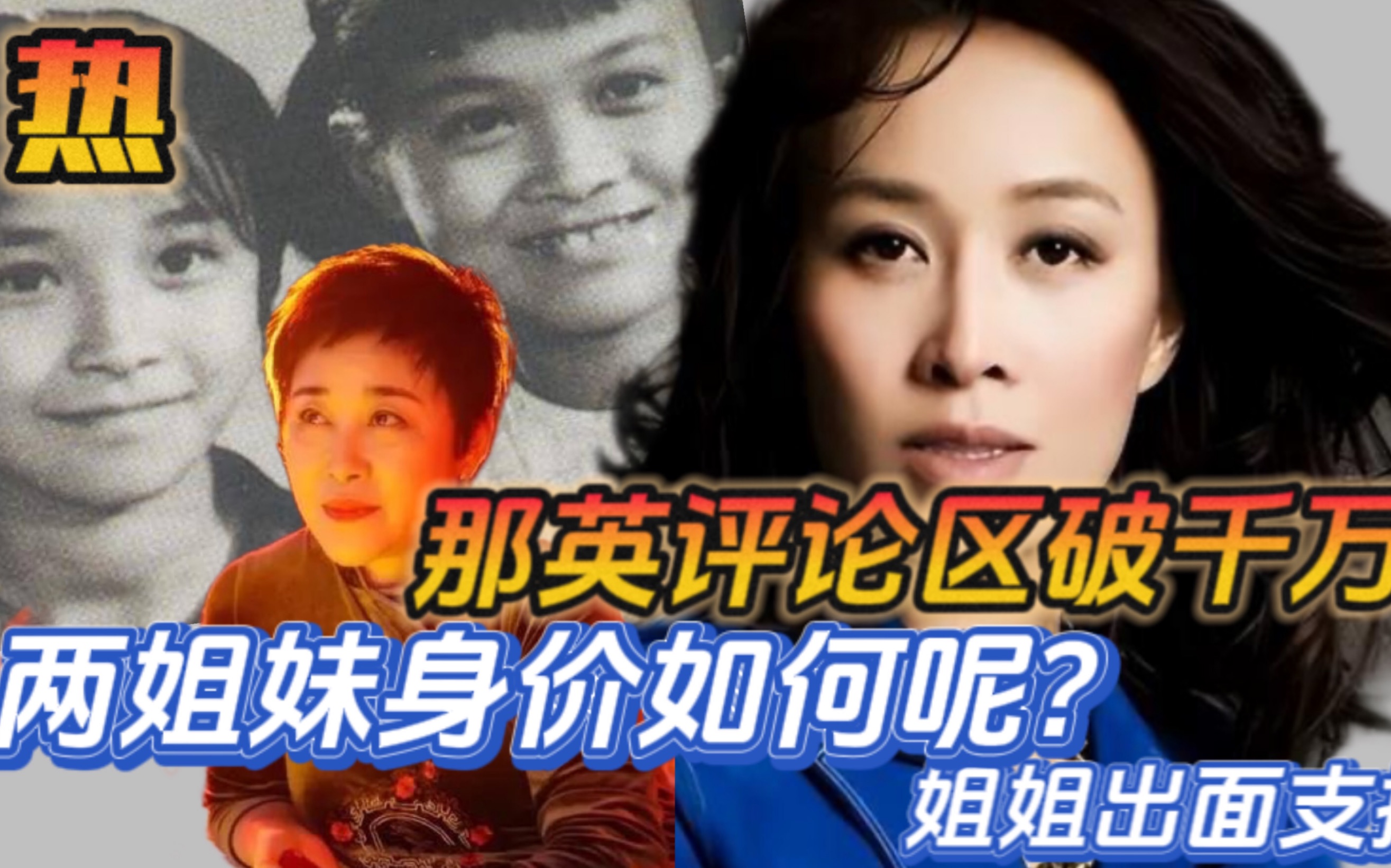 那英评论区破千万,那英和那辛身家如何呢?