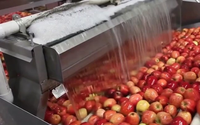 苹果清洗,烘干,打蜡流水线,苹果清洗机,提高效率,为苹果清洗包装带来