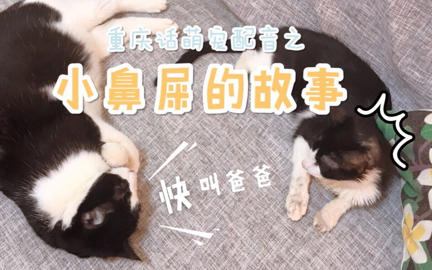 【小鼻屎的故事!】哔哩哔哩bilibili