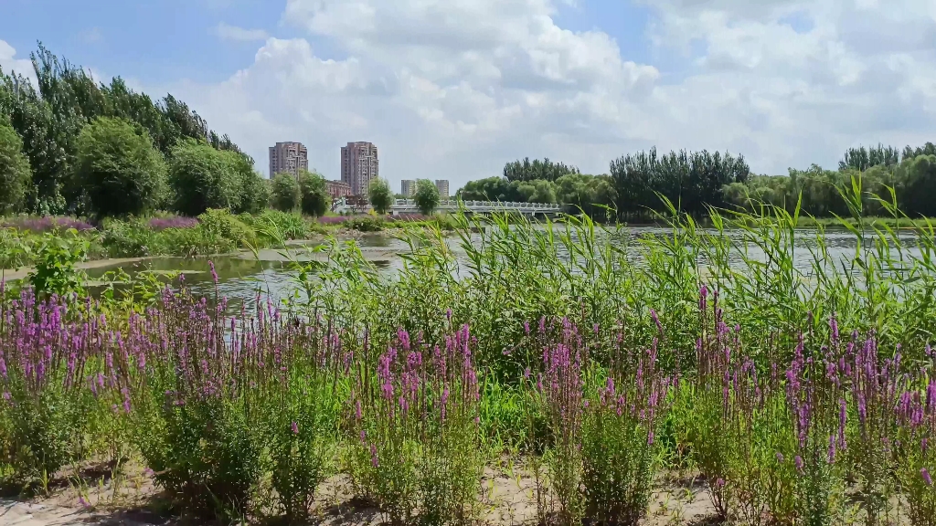 辽中区国家湿地公园