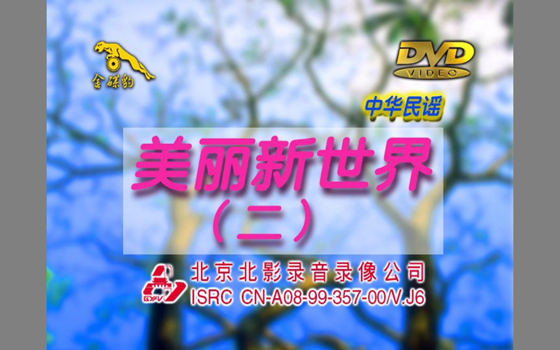 [图]『群星/美丽新世界2』DVD影碟