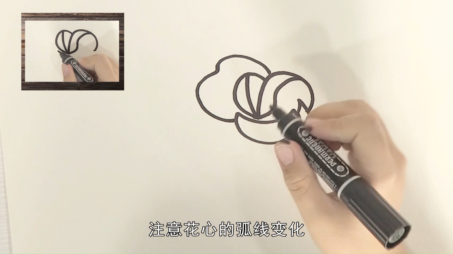 简笔画画栀子花,画时代美术