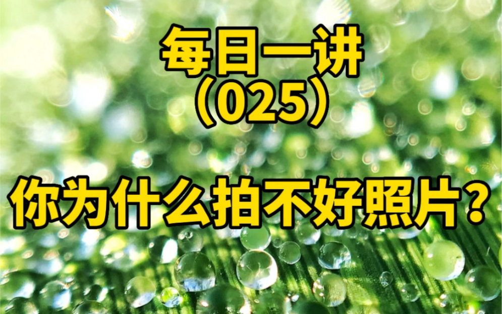 手机摄影拍照技巧方法教程25讲:你为什么拍不好照片?哔哩哔哩bilibili