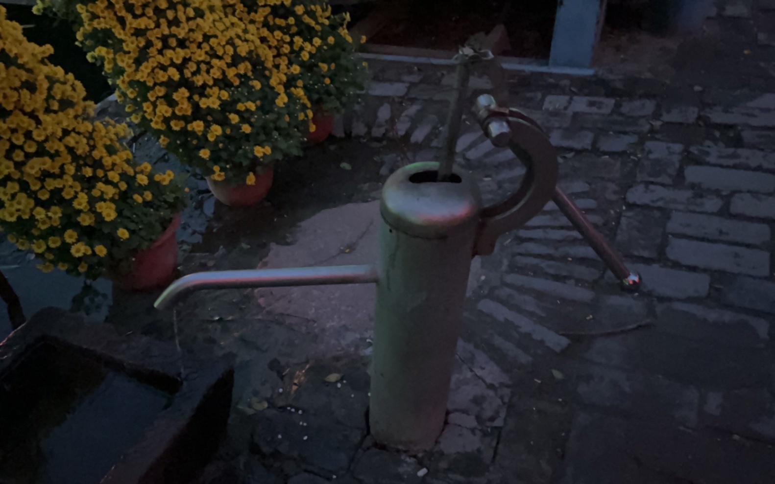 老式压水井,不知道大家都见过吗?