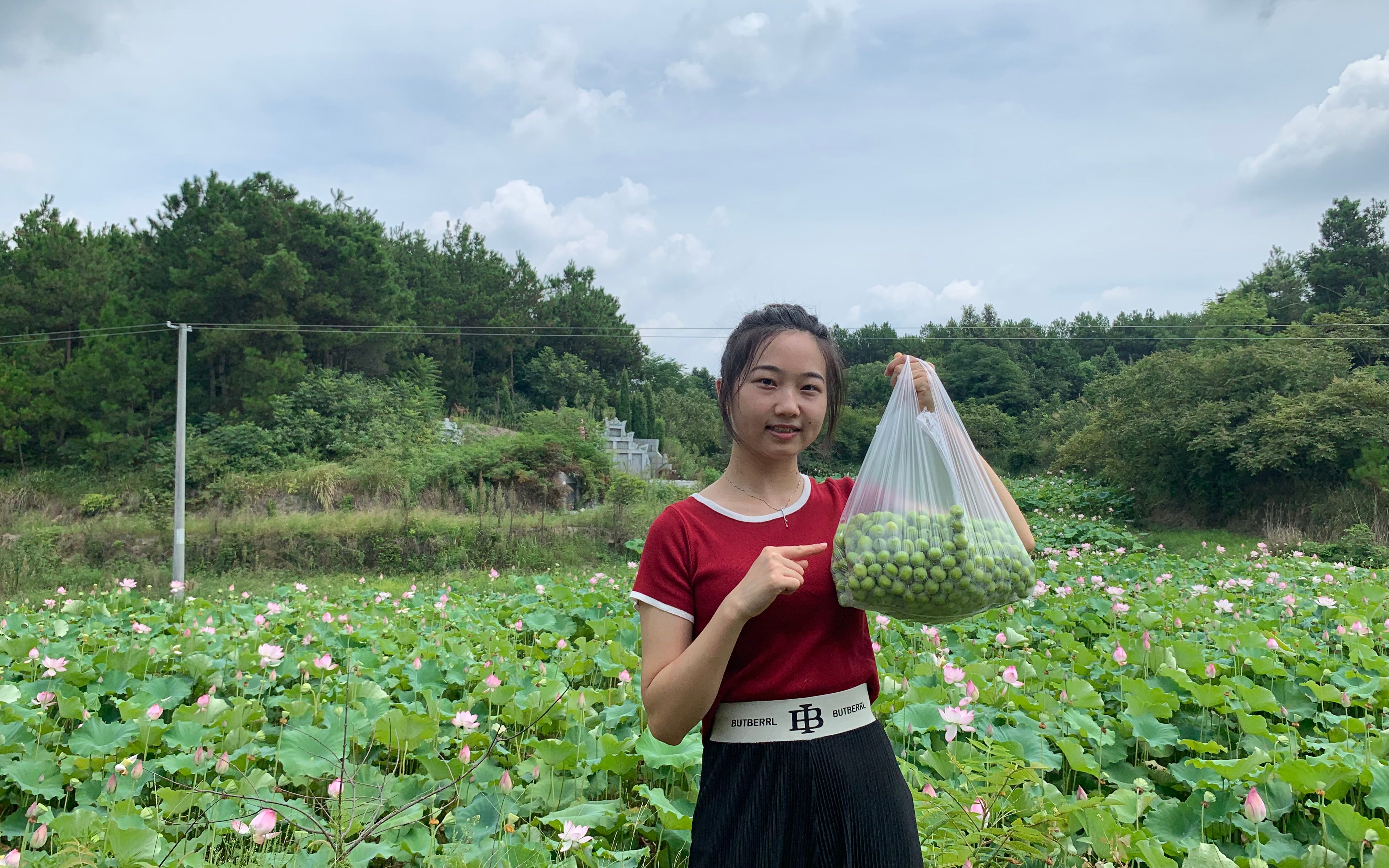 农村新鲜莲子不值钱,阿爽盘算着拉到城里去卖,能赚到钱吗?哔哩哔哩bilibili