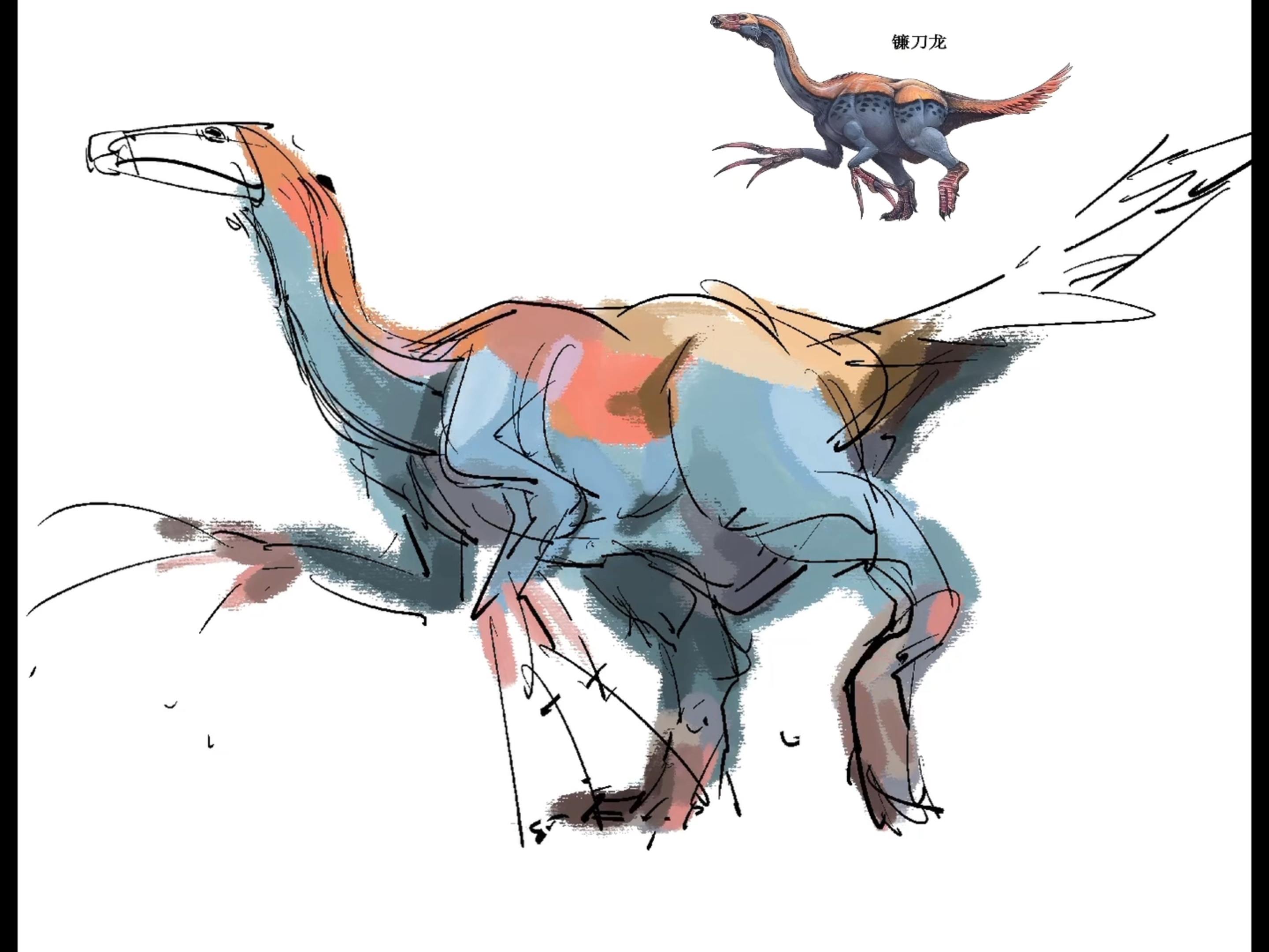 本视频全部收入将用于复活镰刀龙割断up牛豸