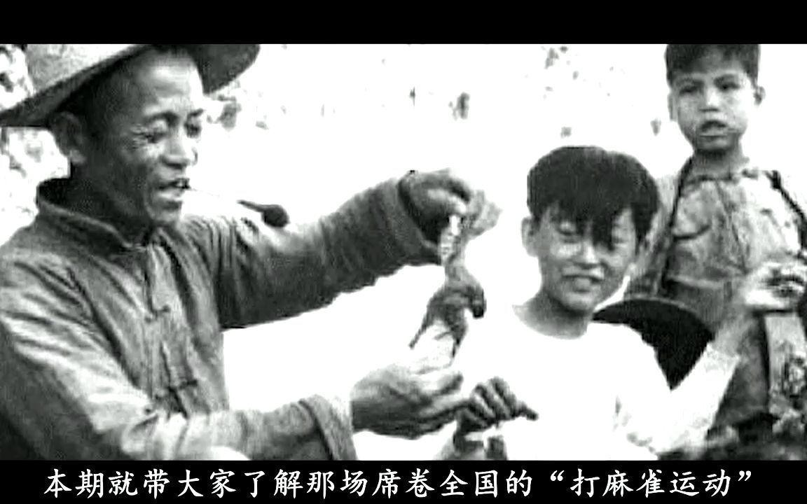 [图]1958年的全民“剿雀”战：男女老少齐上阵，让麻雀几乎断子绝孙