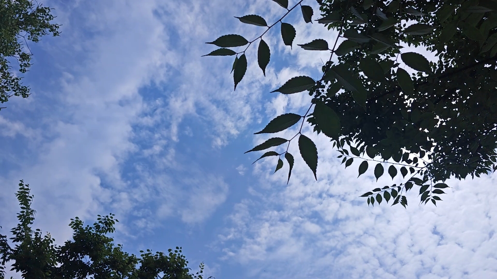 想你时候的天空