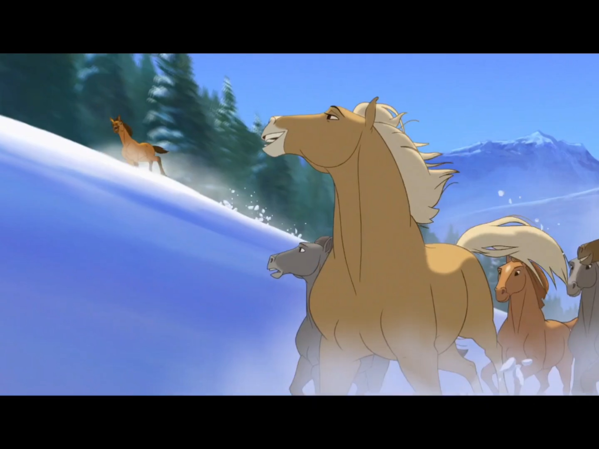 《小马王》•布莱恩亚当斯