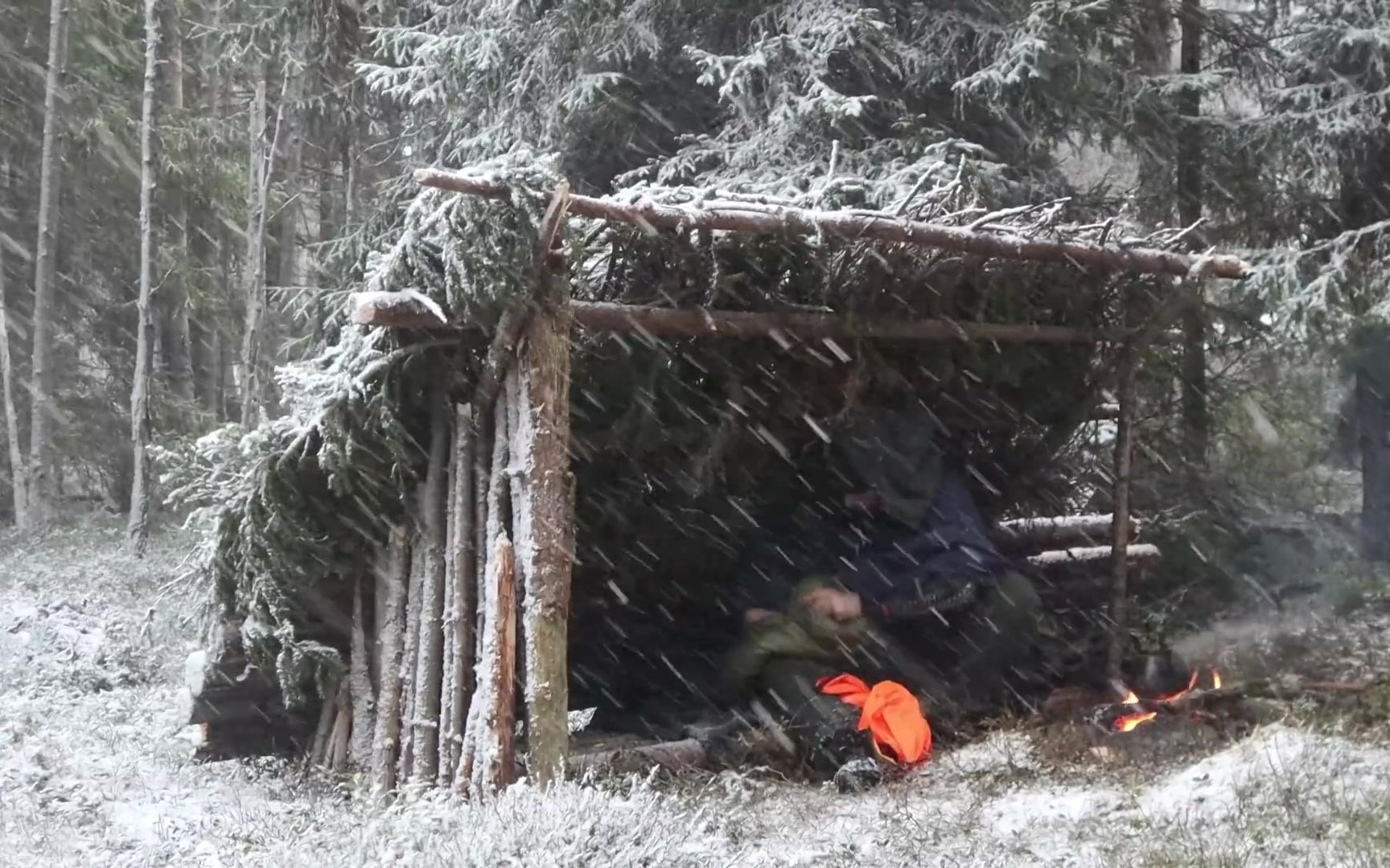 [图]【北方时代】自然庇护所能否抵挡暴风雪？