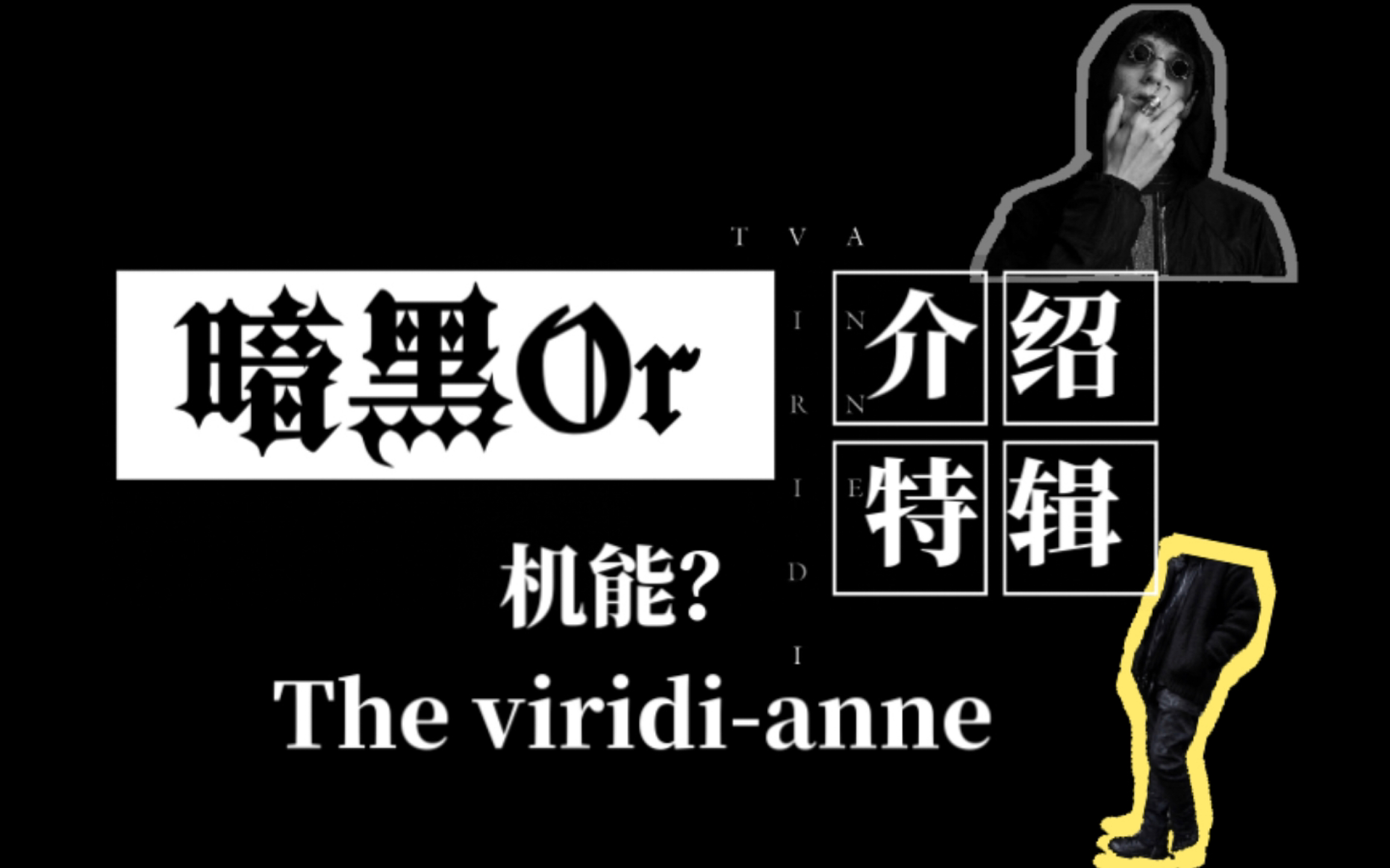 【图音客Q】The ViridiAnne TVA |游走于暗黑与机能之间,即可以搭配yohji,Ziggy chen又可以搭配bbs,acronym的万能品牌哔哩哔哩bilibili