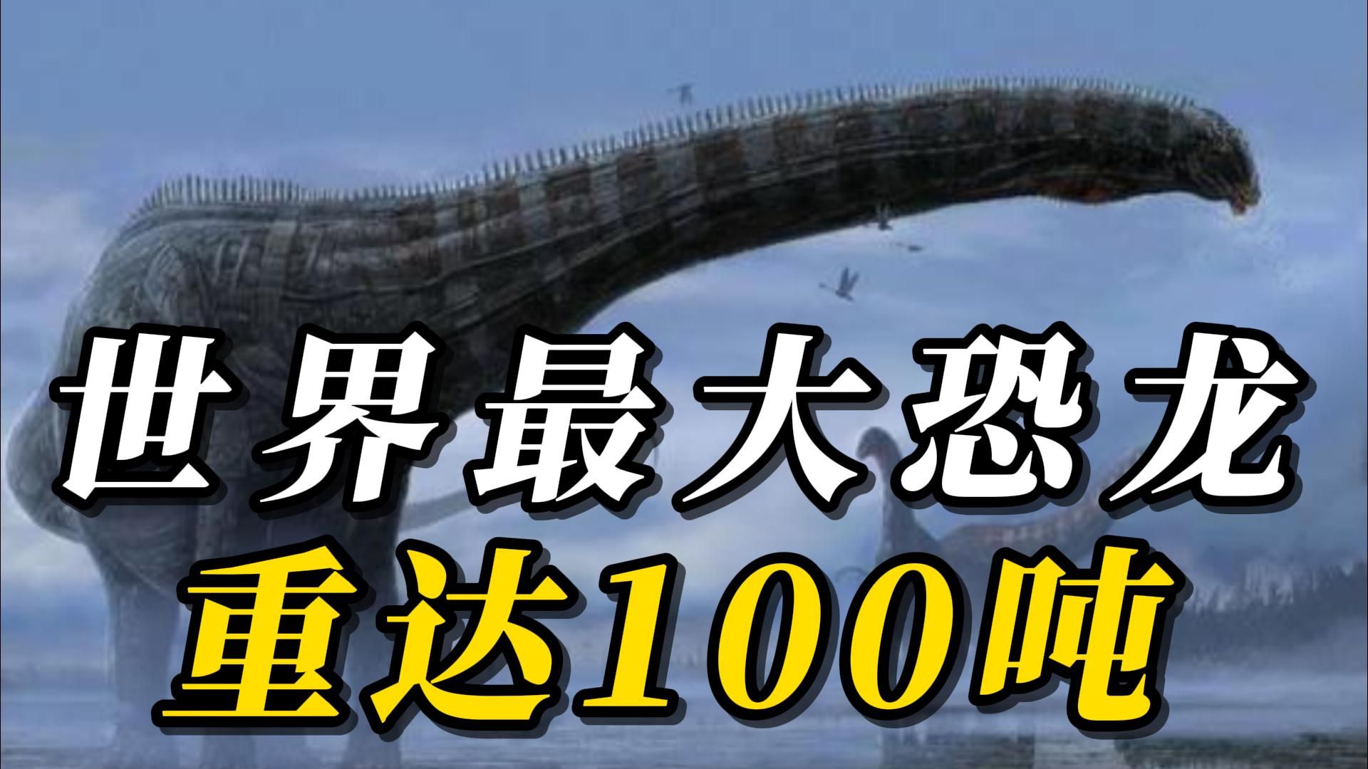 全世界最大的10种巨型恐龙,第九名在6500万年前被称为首席巨龙!第一名重达100吨,堪称“死神龙王”!哔哩哔哩bilibili