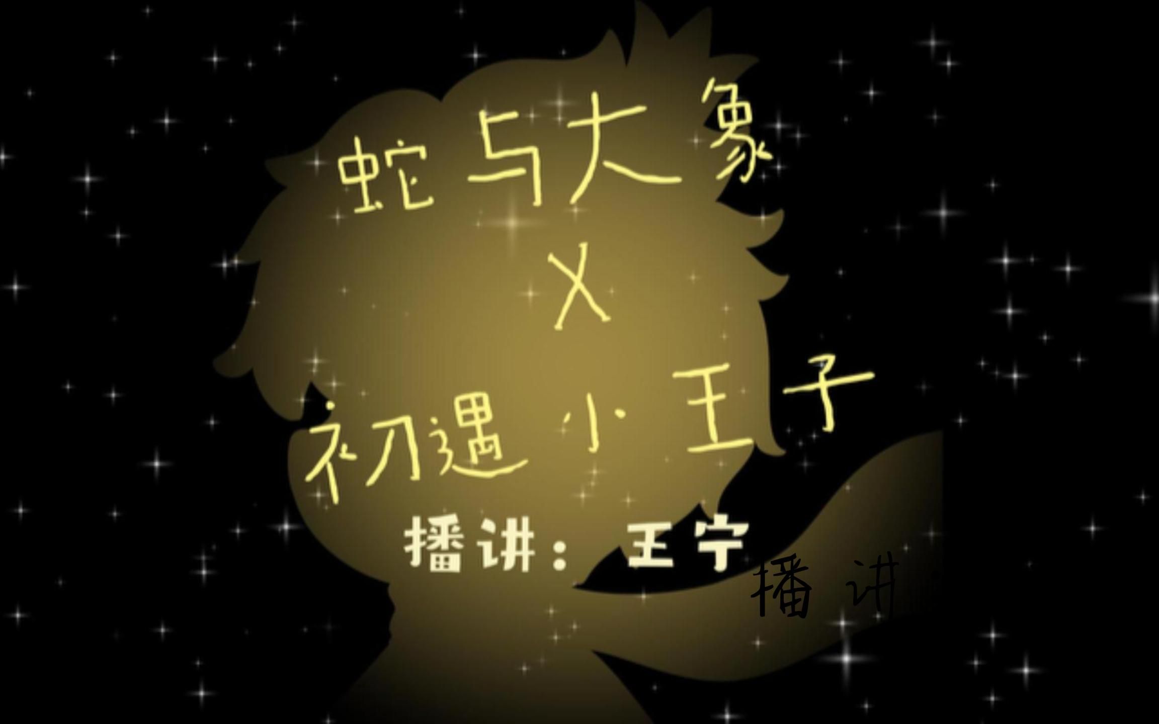 【王宁演播】经典童话 《小王子》01蛇与大象X初遇小王子哔哩哔哩bilibili