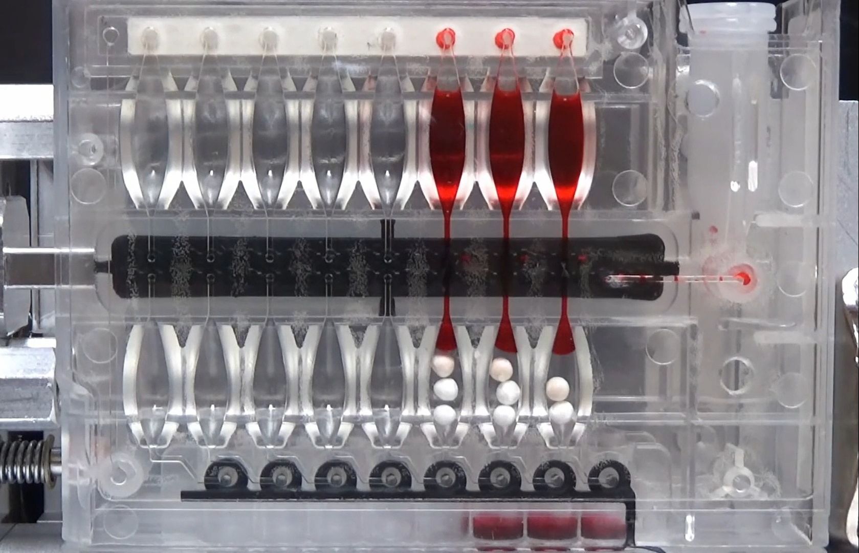 First Light Diagnostics公司 MultiPath平台哔哩哔哩bilibili