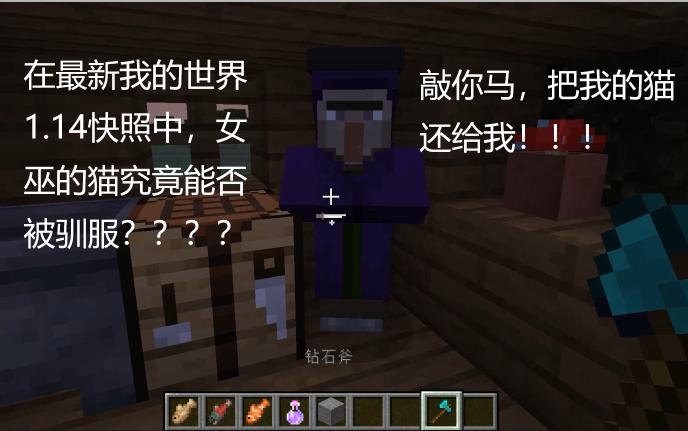 在Minecraft最新1.14快照中版本中女巫的猫究竟能否被驯服?哔哩哔哩bilibili