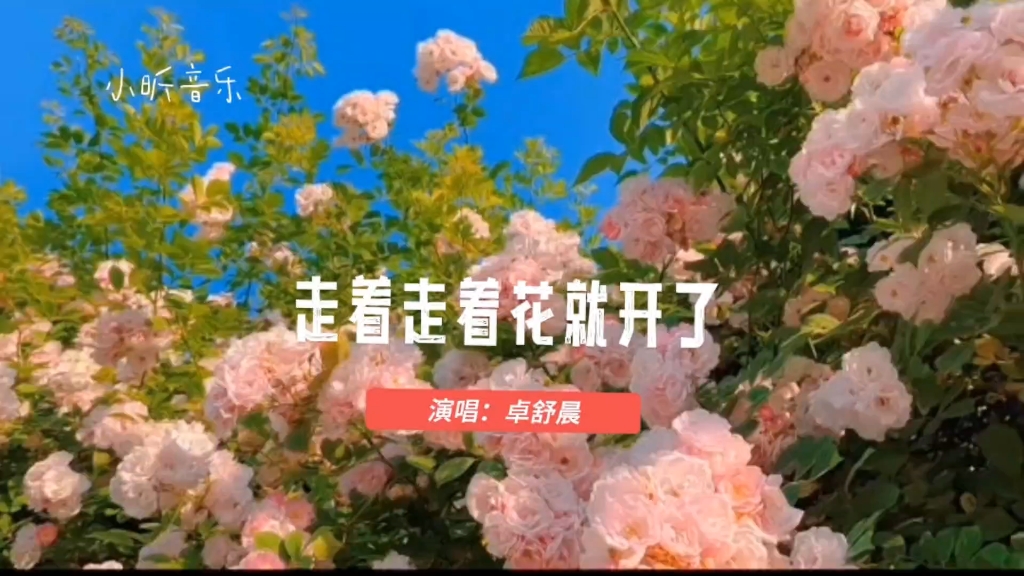 一首好聽的歌《走著走著花就開了》演唱:卓舒晨 聽著心情就好