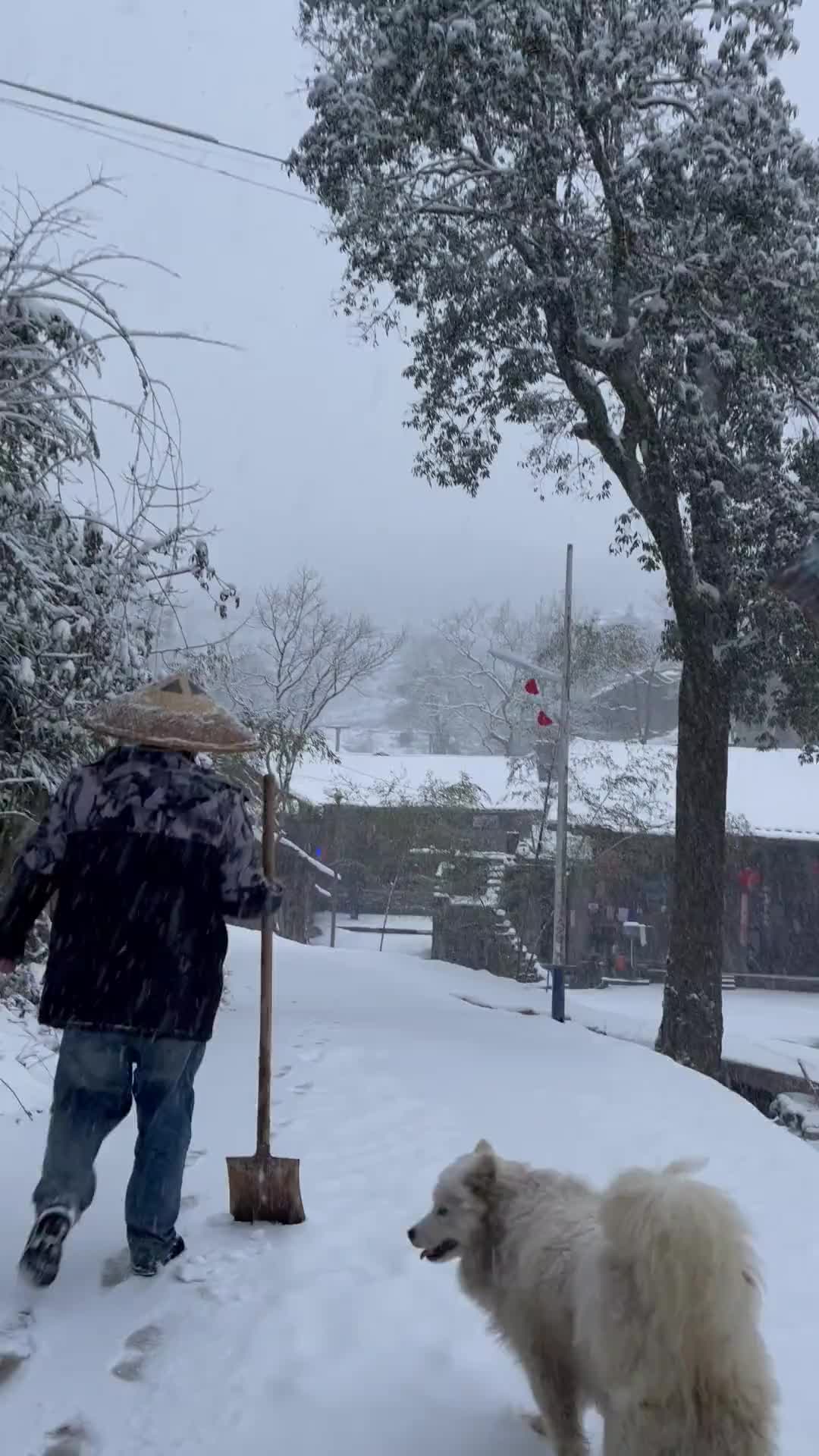 下雪的图片实景 农村图片