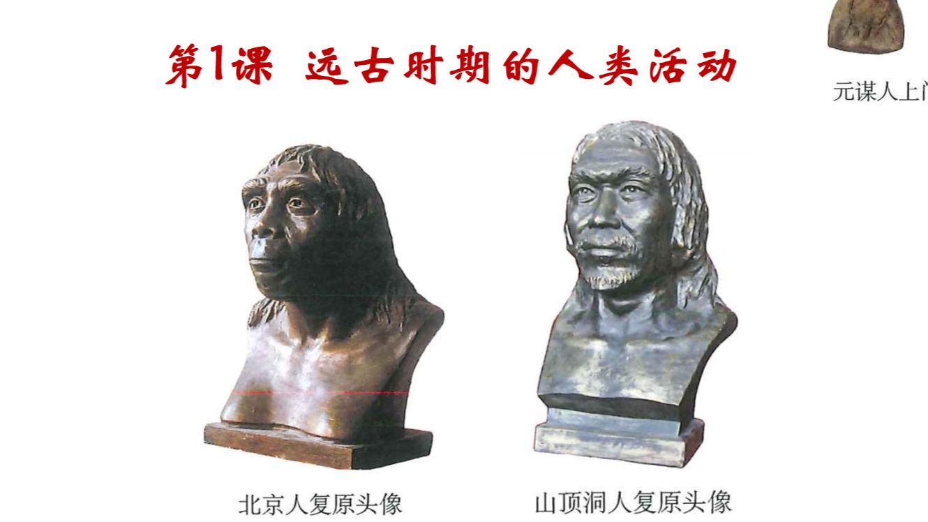 七上中国历史·第1课 远古时期的人类活动