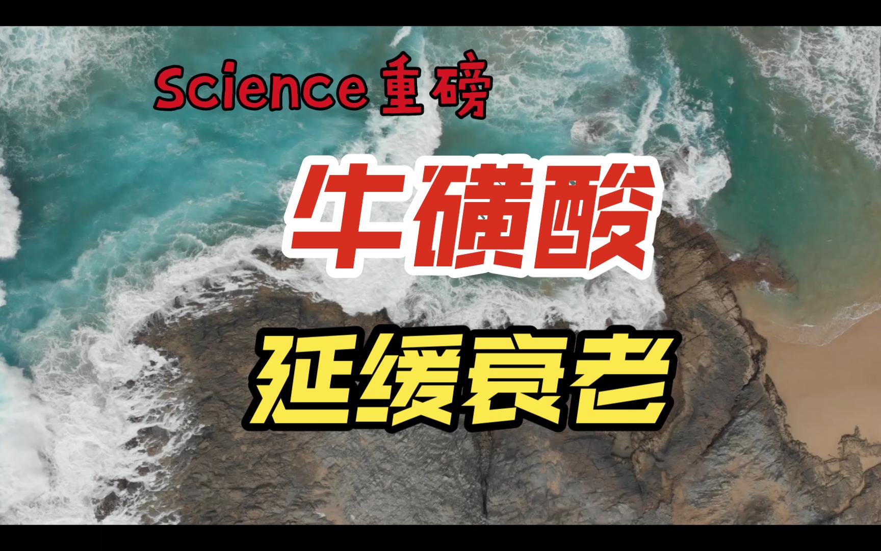 Science重磅这种氨基酸可以延长寿命延缓衰老哔哩哔哩bilibili