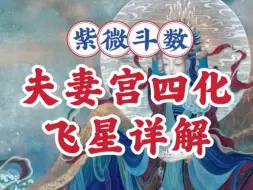 Download Video: 夫妻宫四化飞星，看另一半对你的态度。紫微斗数与八字案例讲解。