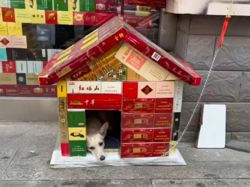 《狗窝》