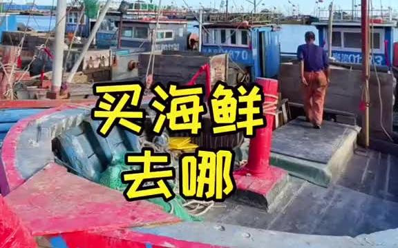 给大家推荐几个买海鲜的好去处秦皇岛北戴河旅游攻略哔哩哔哩bilibili