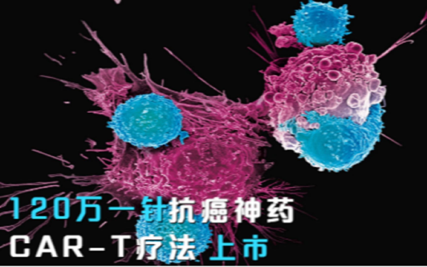 120万一针的抗癌神药,CART疗法上市,我国将迎来抗癌春天哔哩哔哩bilibili