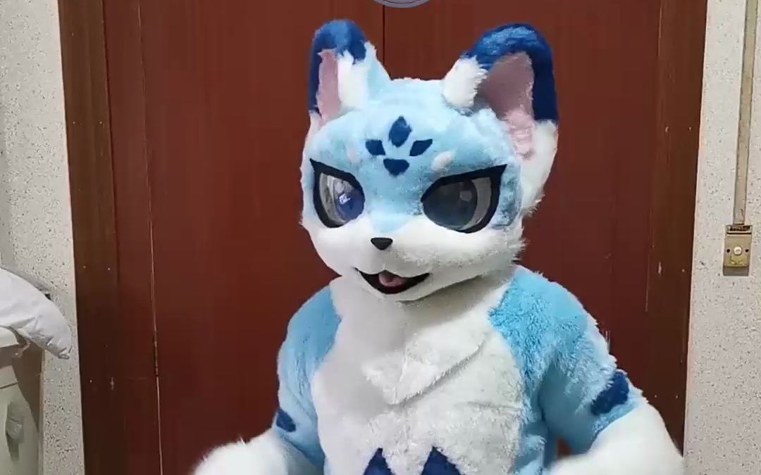 【兽装fursuit展示】雪潇,是小狐狸哔哩哔哩bilibili