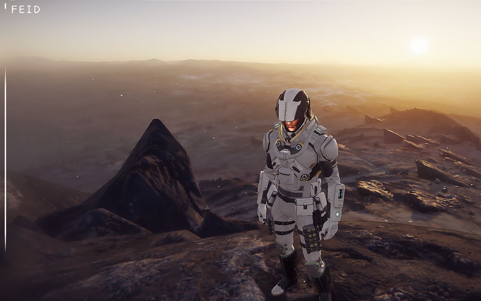 星际公民菲雅利统合部星际公民36先锋姬改版后的样纸