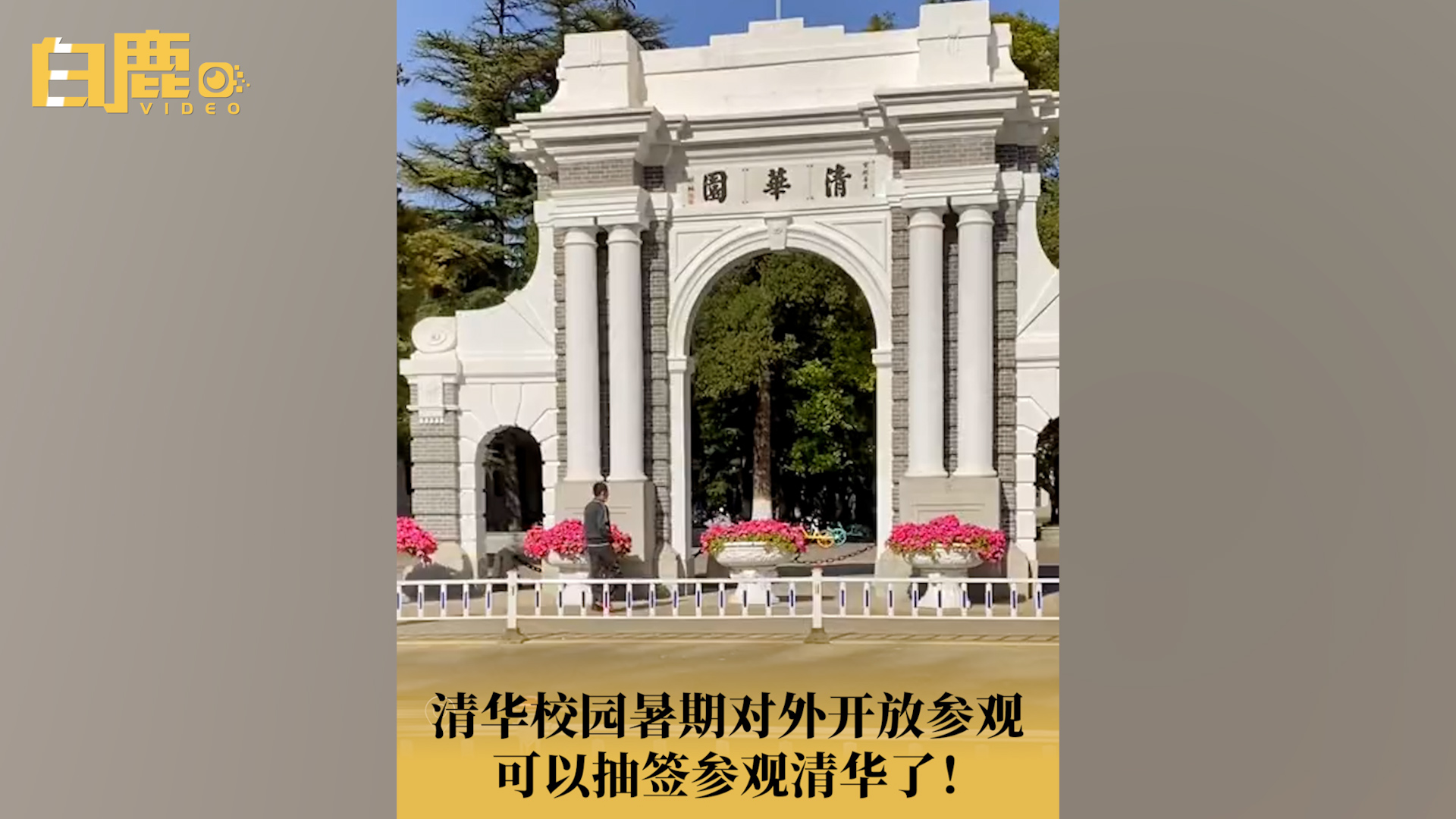 清华大学新增抽签预约参观哔哩哔哩bilibili