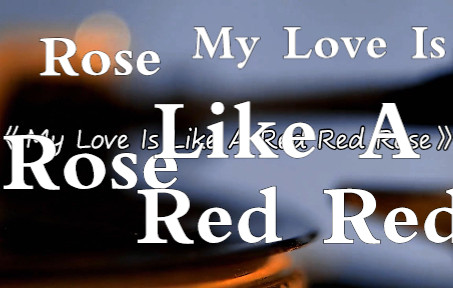 [图]《My Love Is Like A Red Red Rose》 欧美经典