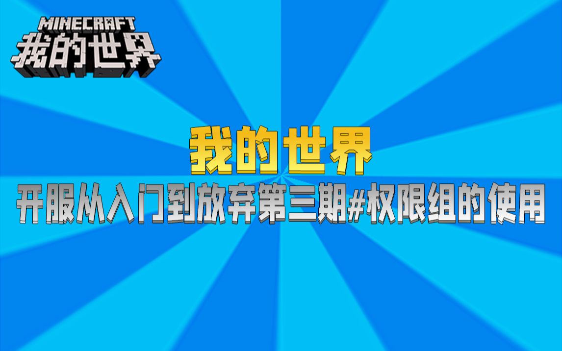 第4期 // 权限组的使用与操作以及背后逻辑 // 我的世界开服入门到放弃哔哩哔哩bilibili