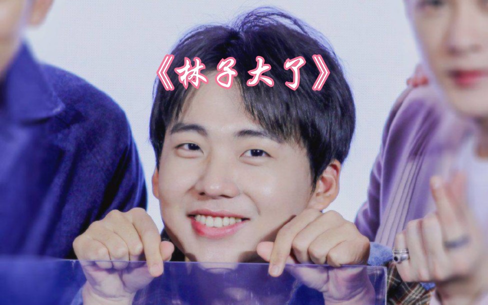 【郭麒麟】大林应聘啼笑皆非《林子大了》可爱镜头混剪(各人向只有
