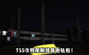 Download Video: 【中国铁路】库存！T55次列尾附挂原色轨检~