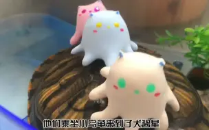 Download Video: 海洋生物~可爱的章鱼三兄弟哦~