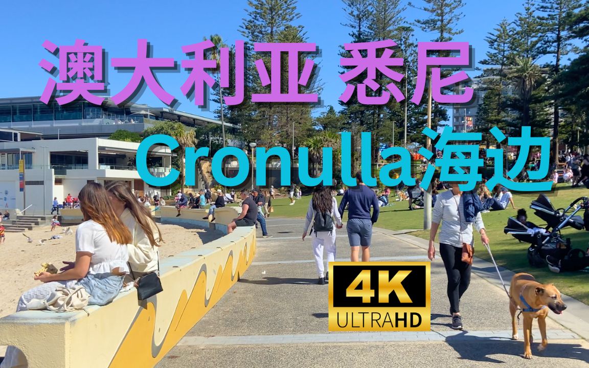 【4K Walk】澳大利亚悉尼克罗纳拉Cronulla海边沙滩|Australia Sydney 2023哔哩哔哩bilibili