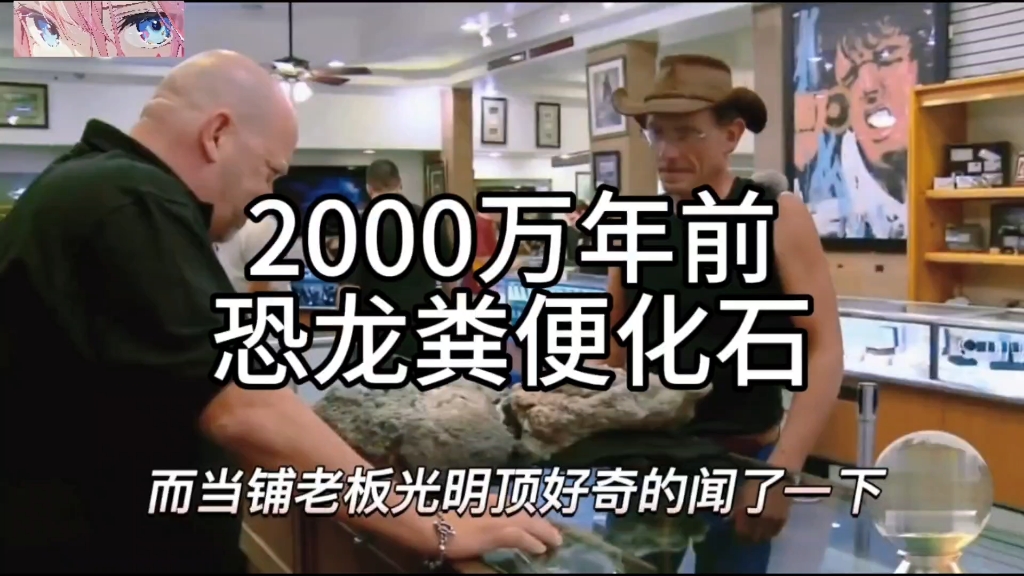 2000万年前图片