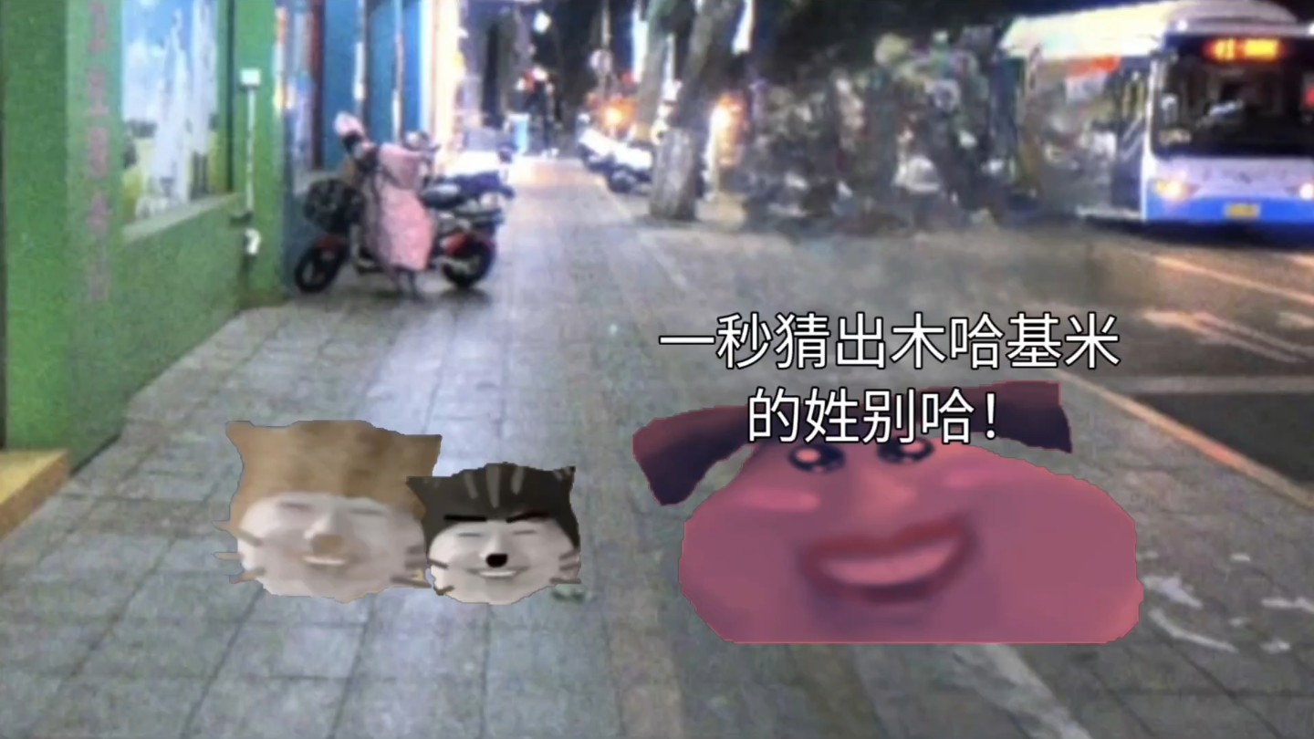 一秒猜出来哈基米的姓别哈,顺治一开口全世界都笑了♿️-别急熊-别急熊-哔哩哔哩视频