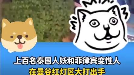 人妖和变性人互殴为了抢客源?哔哩哔哩bilibili