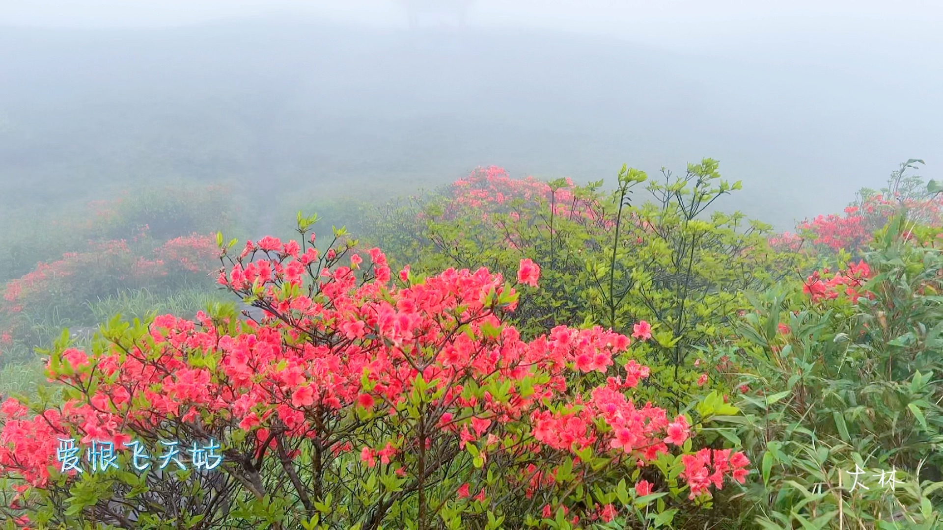 [图]爱恨飞天姑（飞仙源、天堂顶、姑婆山）